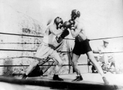ALEXANDER KALETCHITZ