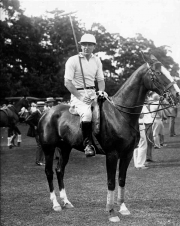 TOMMY HITCHCOCK
